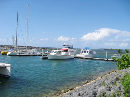 agatto2.jpg