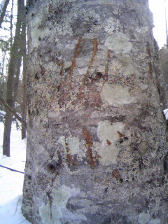 100129_102849.JPG