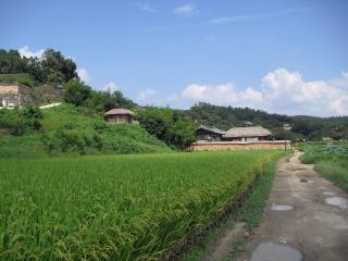 CIMG1211 (640x480).jpg