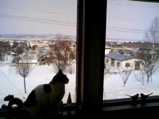100222_074144.JPG