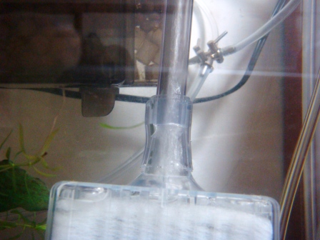 ロカボーイせつぞく