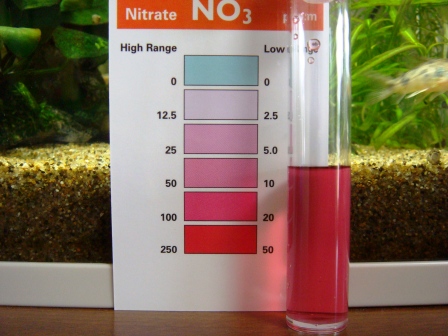 しょうさんえんけんさ