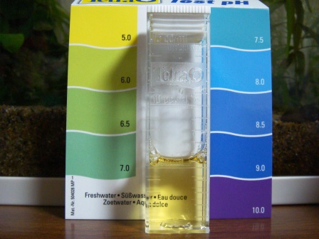 ３５センチ　PHけんさ