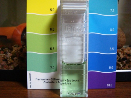 ３０センチ　PHけんさ