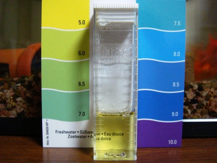 35センチ　みずかえ１