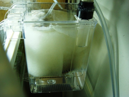 さてらいとろか２