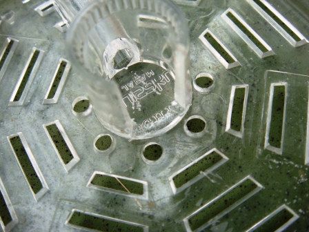 けーすかこう２