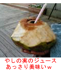 やしのみ