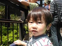 動物園１