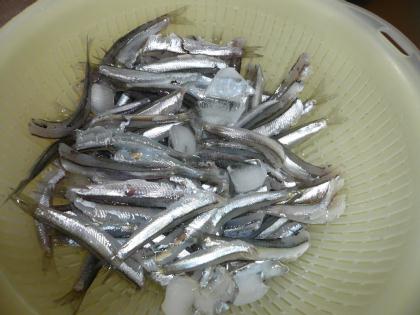 画像 003.jpg