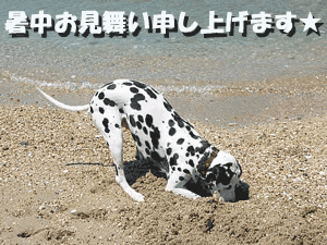 5660_0[1].gif