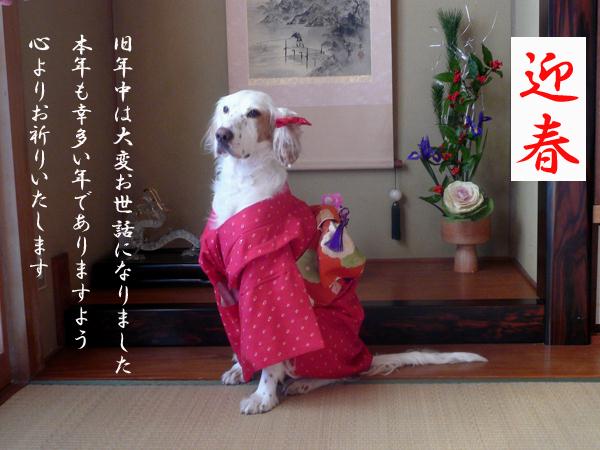 年賀状　お福