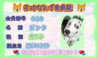 ﾎｫｯｶﾑﾘ28