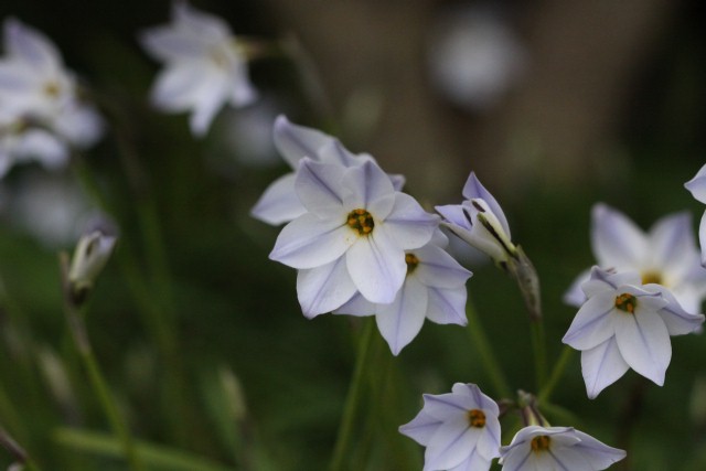 2010_03_06_0292.JPG