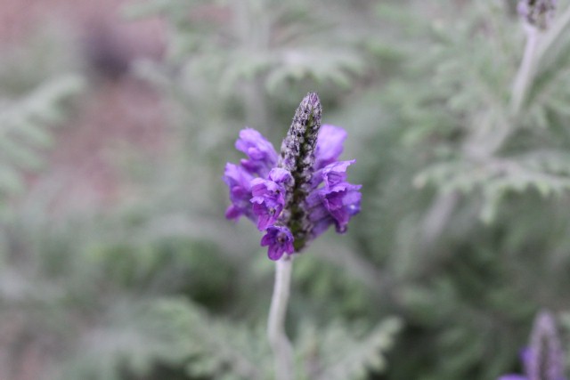 2010_03_06_0296.JPG