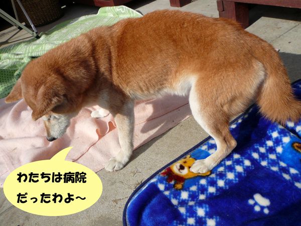 画像-015.jpg