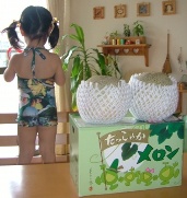 きゃんギャル？