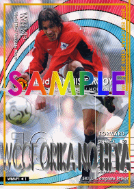 ファンニステルローイ1