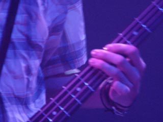 g003