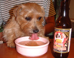 犬用ビール.jpg