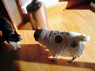 ねぇイケテル？　う～～ん。。byあや