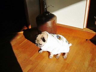 やっぱり、なんかぁ～～シュン、、、