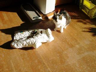 やーだ。ネズミのワッペンがついてる。キー！