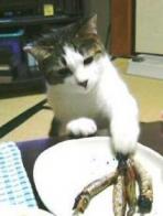 小さくしたドロボー