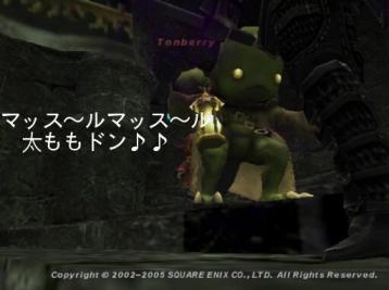 意外とマッチョ(゜∀゜;)