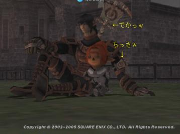 シグナの大きさが・・・ｗ