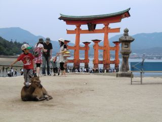 宮島着陸