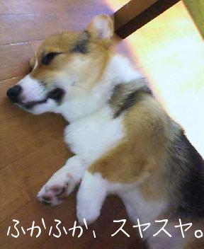 ふかふかすやすや