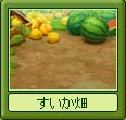 すいか畑