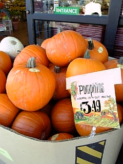 パンプキン