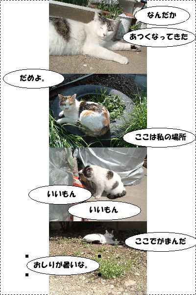 いいもん