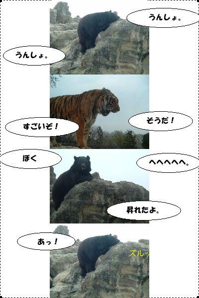 昇りたい5
