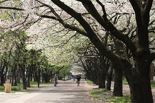 光が丘公園