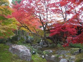 2007 宝厳院 獅子吼のお庭1