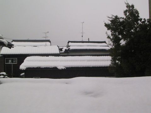 12.01.28雪１.JPG