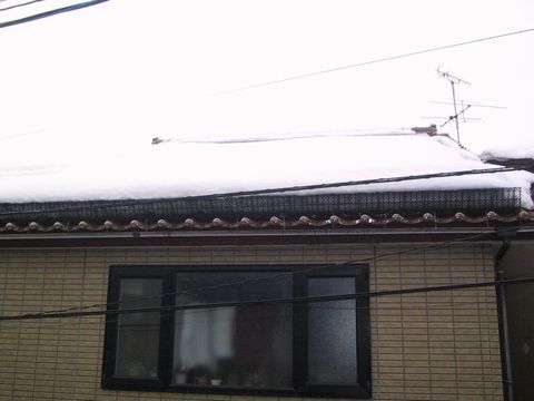 12.01.28雪２.JPG