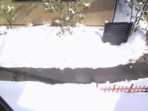 11.01.30雪４.JPG