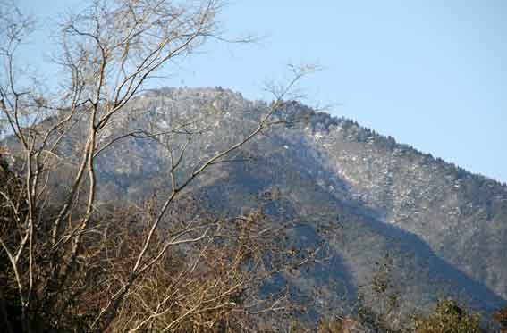 美郷から見た高越山-2♪