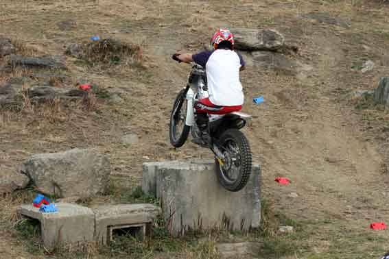 鴨島TR-110227-2♪