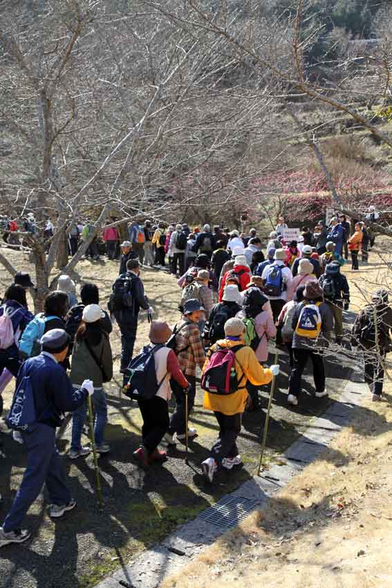 美郷梅の花ウォーク♪