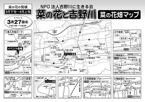 菜の花イベント-2♪