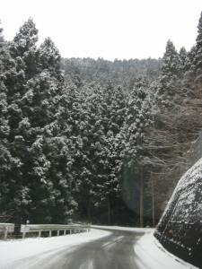 小田の雪山