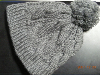 ブログ用 100_1_1.jpg