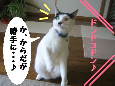 もじゃいこおどり02.jpg