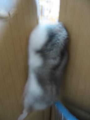 06040310.IMG_1812.JPG
