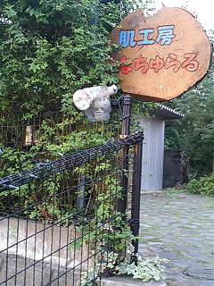 看板
